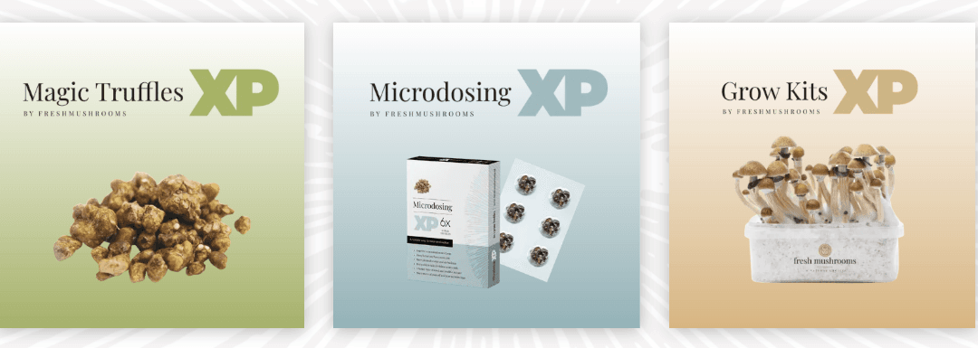 In America, they make a pill out of it. In the Netherlands, it just grows.